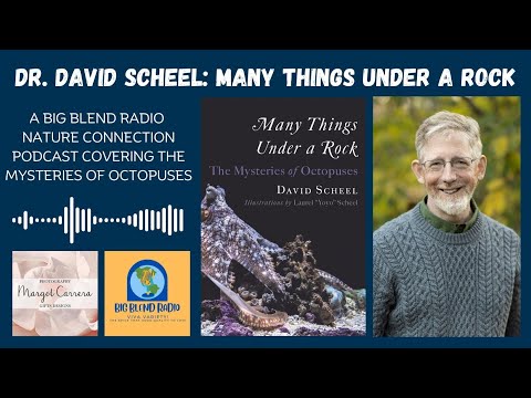 Dr. David Scheel - The Mysteries of Octopuses
