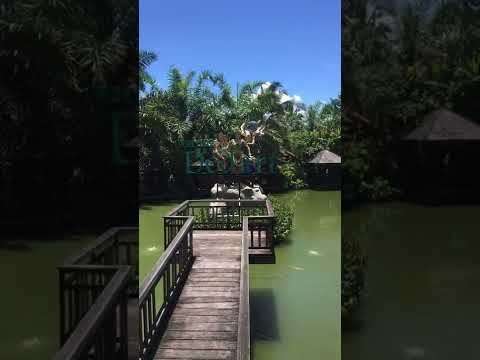 Warung dedari || restaurante dedari