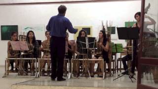 preview picture of video 'Música en Camagüey, Cuba: Orquestra de Angklung - La Comparsa'