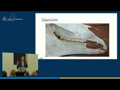 HK 2026 – Gebitsproblemen bij het (Friese) paard | Dr. S.L. Journée