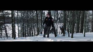 Hippo Campus - Last Snowstorm of the Year