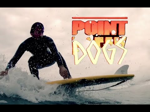 SOFTDOGSURF Pointdogs
