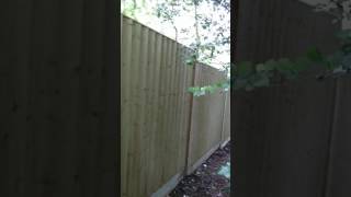 Album cover: Fence