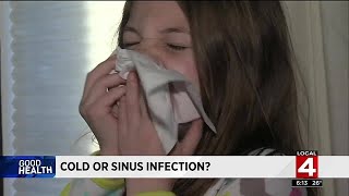 Cold or sinus infection?