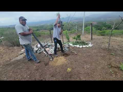 Comenzando un nuevo proyecto el los limones gualan zacapa Guatemala 