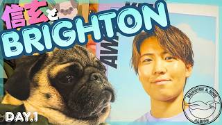 【ブライトンDay1】イギリスの熱海!?カモメの街Brightonへ愛犬信玄を連れて家族旅行🐶