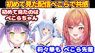 ホロライブを知ったきっかを話す（トワ、莉々華、千速）。初めて配信を見たのはぺこらで共感【ホロライブ切り抜き/兎田ぺこら/輪堂千速/一条莉々華/常闇トワ】
