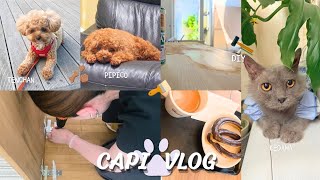 【vlog】テーブルDIY🛠️｜セルフネイル🌿｜自分の部屋を少しずつ好きな空間にする日🪵✨
