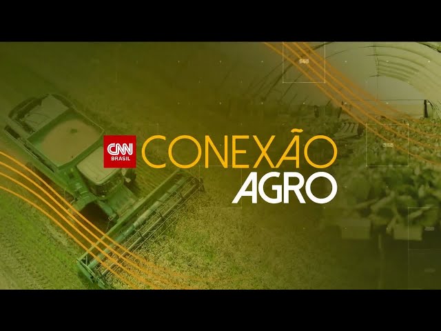 Conexão Agro: Vinhos brasileiros ganham força e mercado | CNN PRIME TIME