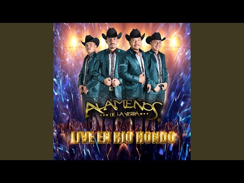 El burrero culon (En Vivo)