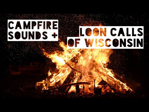 10 Hour Campfire Sounds + Loon Calls of Wisconsin = Good Sleep | Soothing Sounds for Relaxation