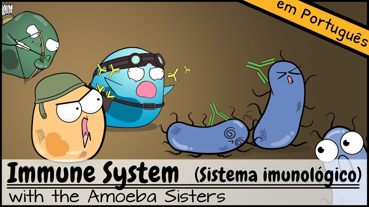 Sistema imunológico