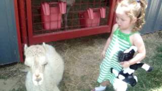 Claire&#39;s  lullaby to baby camel