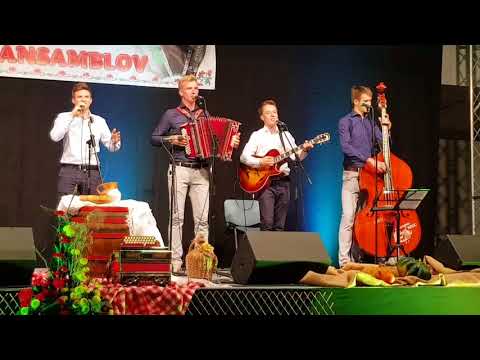 ansambel Hec - (od Slapovi - Ne reci nikdar) (Sodražica, 29.10.2017)