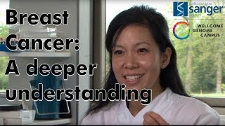 Breast Cancer: A Deeper Understanding - Sanger Institute