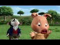 Jakers The Adventures Of Piggley Winks Picture Perfect