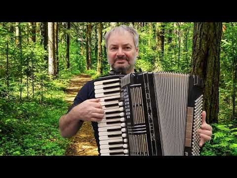 Stoariegler Polka - Sepp Rammer