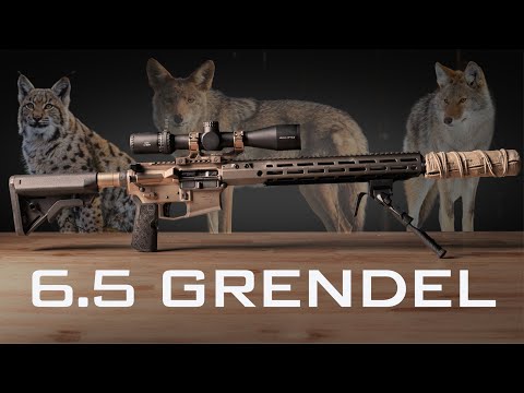 My EXACT 6.5 Grendel Setup for Coyotes