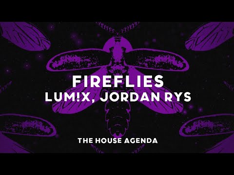 LUM!X, Jordan Rys - Fireflies