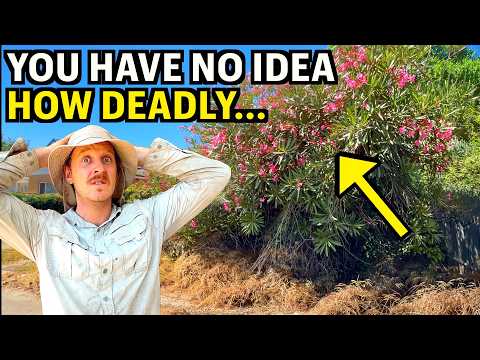 Transforming the WORST Yard in the Neighborhood — He Couldn't Believe It Was FREE!