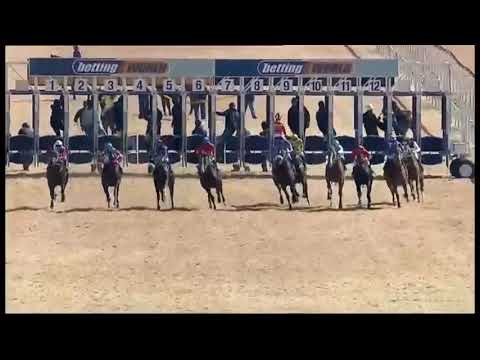 Nourbese - First win in SAF ( Turffontein 12 Jul 2020 )