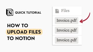 How to Upload Files on Notion (Quick Tutorial)