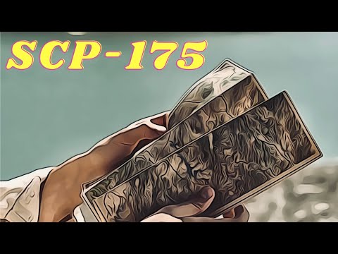 The Tresure Map To Everything | SCP-175 (SCP Library)