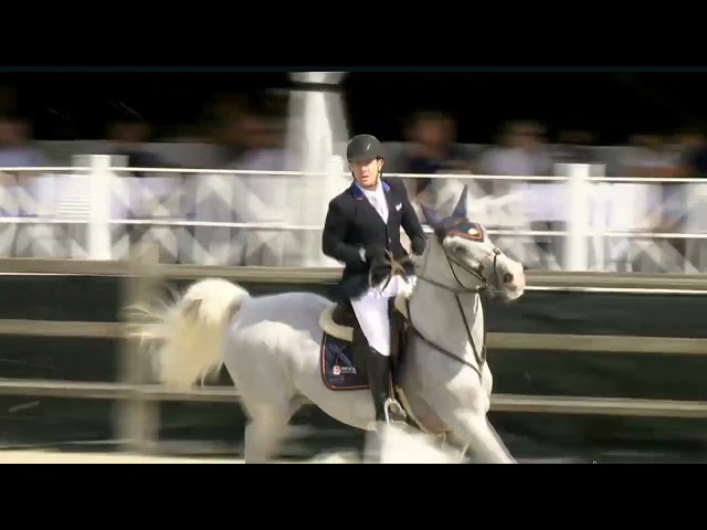 Antigone Quality showvideo