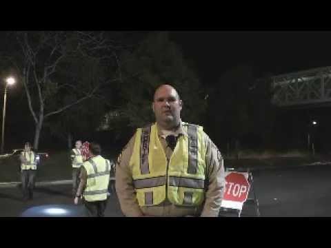 download lagu mp3 mp4 Halloween Dui Checkpoints Los Angeles, download lagu Halloween Dui Checkpoints Los Angeles gratis, unduh video klip Halloween Dui Checkpoints Los Angeles