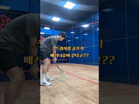 스쿼시랑 골프??