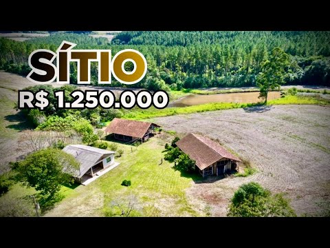 Esse SÍTIO tem TUDO que você sonha | Água de mina, pomar produzindo, 9km da cidade