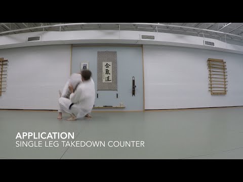 AIKIDO: Ukemi Applications