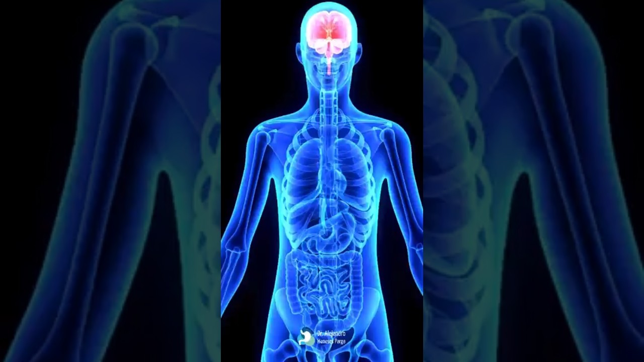 Alejandro Meneses Parga-84