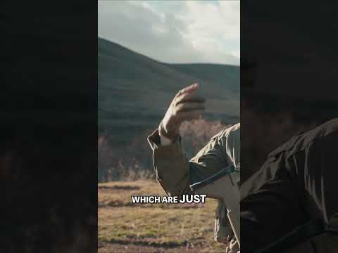 Russian SSO Alpha: The Formidable Special Forces You Don't Want to Mess With