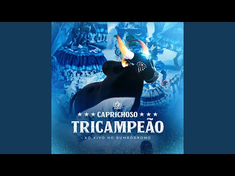 Bicho Folharal (Ao Vivo)