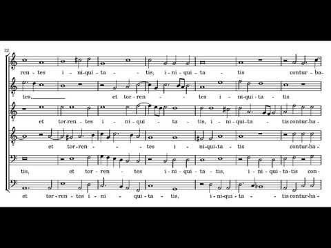 Lassus: Circumdederunt me - Cappella Amsterdam