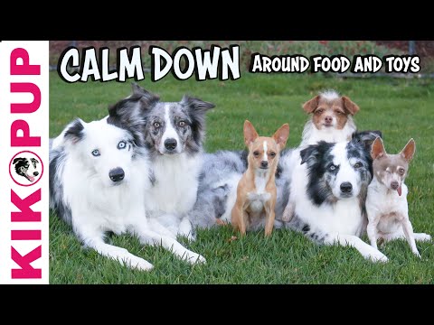 STOP UNWANTED behaviors with BACK UP