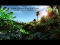 Robbie Williams - King of the Bongo [Manu Chao ...