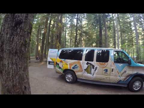 Views of the Ohanapecosh Campground from site 54