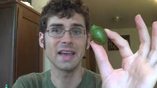 Guinep (Spanish Lime or Mamoncillo) Review and How to Roast its seeds- Weird Fruit Explorer Ep. 34