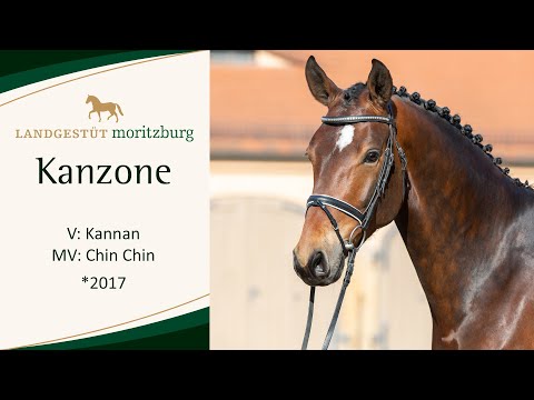 KANZONE v. Kannan - Chin Chin 2023