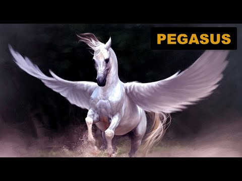 Pegasus – the winged divine stallion!