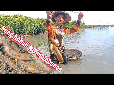 episode 89: muling paghuli NG malabanos