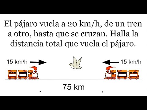 PROBLEMA DE RAZONAMIENTO MATEMÁTICO. RETO. El Problema del Pájaro Volador