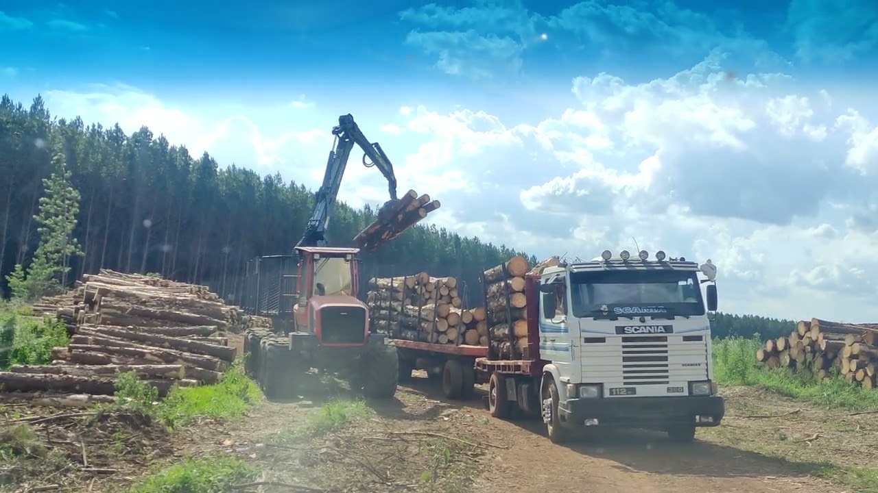 carga de #caminhão con #forwarder #komatsu #pinos #pinus #forest #farming