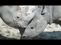 CLEVELAND METROPARKS ZOO 2024 Cleveland Ohio