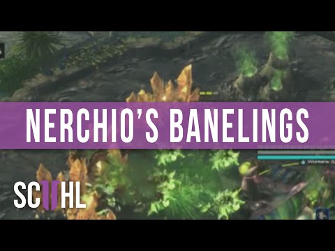 Nerchio's Banelings - WCS Summer
