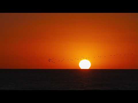 Francesco Chiocci - Towards the Sun feat. Black Soda (Pastaboys Remix)
