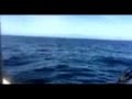 Captain Barry Near Cape Blanco 2015