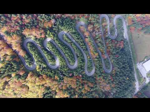 Serpentine Cheia octombrie 2022